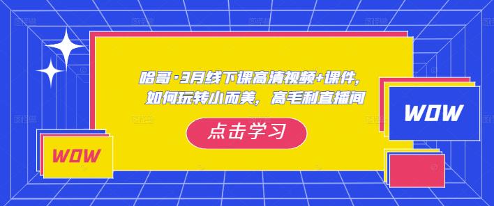 哈哥·3月线下实操课高清视频+课件，如何玩转小而美，高毛利直播间-温暖资源库