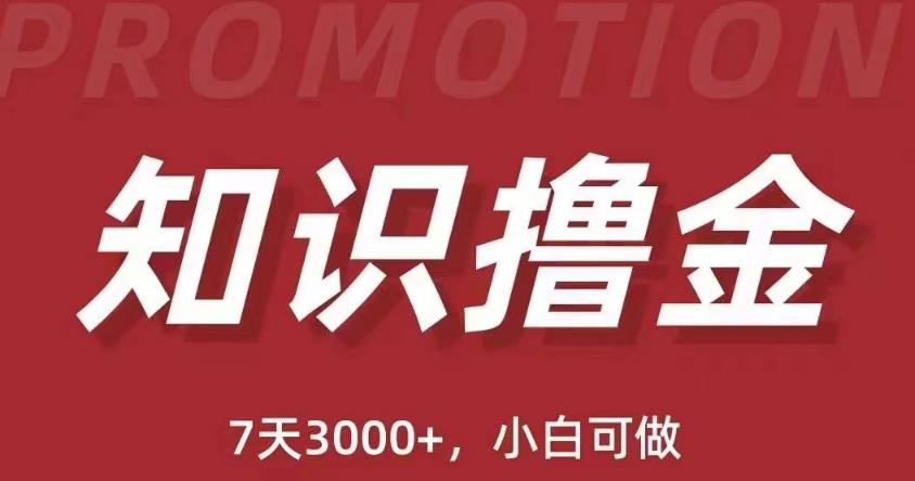 抖音知识撸金项目：简单粗暴日入1000+执行力强当天见收益(教程+资料)-温暖资源库