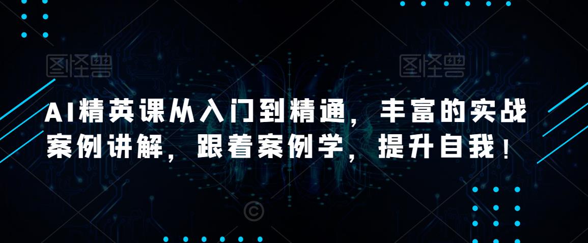 AI精英课从入门到精通，丰富的实战案例讲解，跟着案例学，提升自我！-温暖资源库