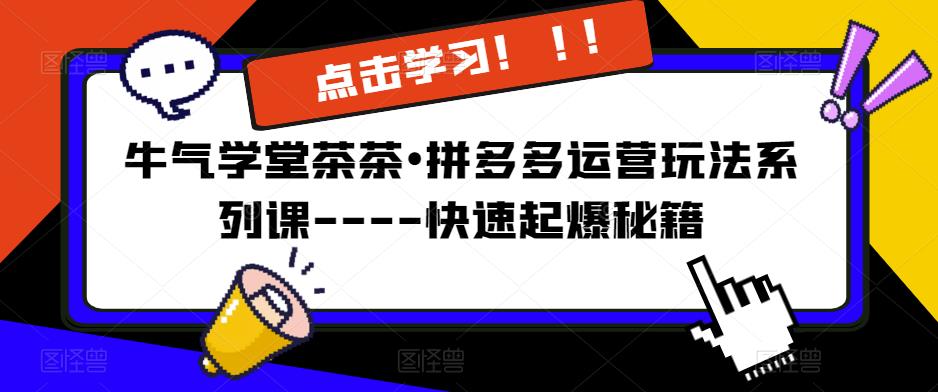 牛气学堂茶茶•拼多多运营玩法系列课—-快速起爆秘籍【更新】-温暖资源库