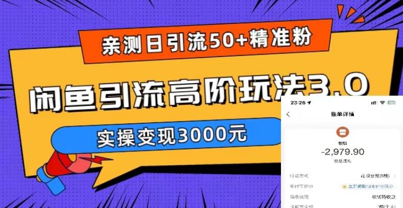 亲测日引50+精准粉，闲鱼引流高阶玩法3.0，实操变现3000元【揭秘】-温暖资源库