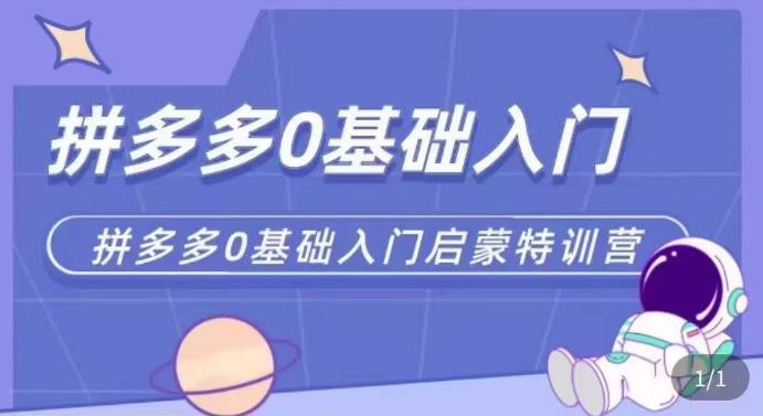 拼多多运营0-1实操特训营，拼多多0基础入门，从基础到进阶的可实操玩法-温暖资源库