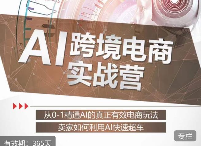 白龙老师·AI跨境电商实战营：从0-1精通Al的真正有效电商玩法，卖家如何利用Al快速超车-温暖资源库