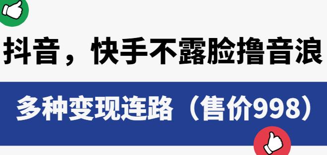 抖音快手不露脸撸音浪项目，多种变现连路（售价998）-温暖资源库