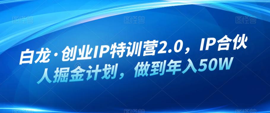 白龙·创业IP特训营2.0，IP合伙人掘金计划，做到年入50W-温暖资源库
