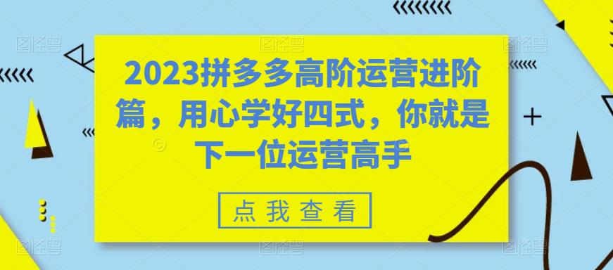 2023拼多多高阶运营进阶篇，用心学好四式，你就是下一位运营高手-温暖资源库