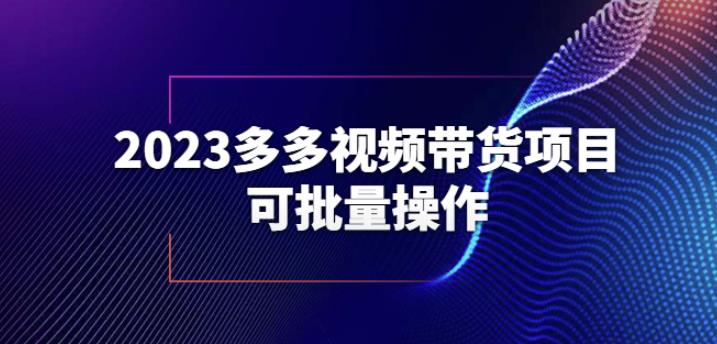 2023多多视频带货项目，可批量操作【保姆级教学】【揭秘】-温暖资源库