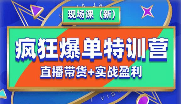 抖音短视频疯狂爆单特训营现场课（新）直播带货+实战案例-温暖资源库