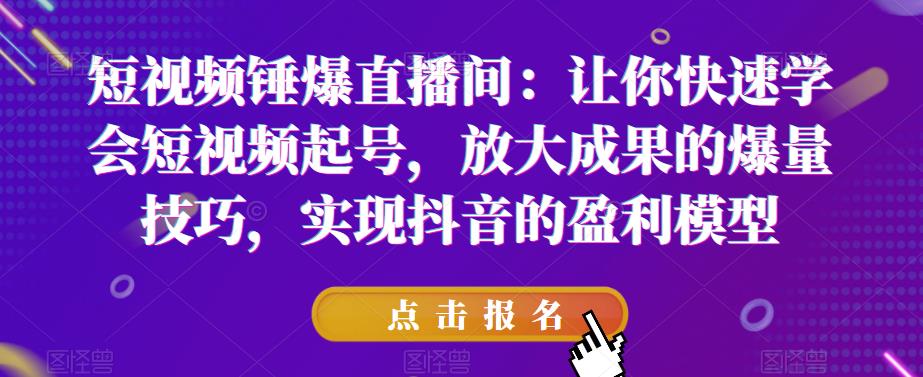 短视频锤爆直播间：让你快速学会短视频起号，放大成果的爆量技巧，实现抖音的盈利模型-温暖资源库