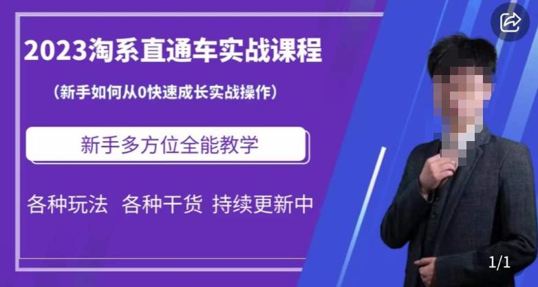 2023淘系直通车保姆式运营讲解，新手如何从0快速成长实战操作，新手多方位全能教学-温暖资源库