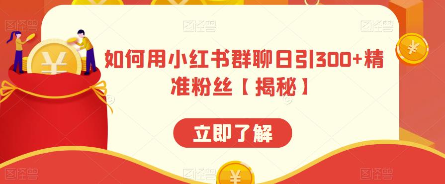 如何用小红书群聊日引300+精准粉丝【揭秘】-温暖资源库