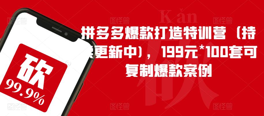 拼多多爆款打造特训营（持续更新中)，199元*100套可复制爆款案例-温暖资源库