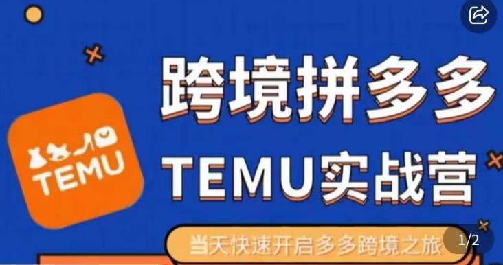 大鹏出海·拼多多跨境temu运营指导，开店注册+选品+核价上架，日出千单实战课-温暖资源库