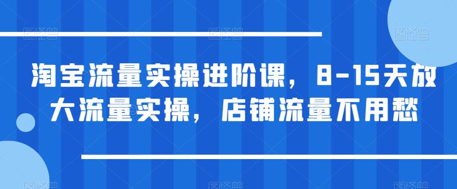 淘宝流量实操进阶课，8-15天放大流量实操，店铺流量不用愁-温暖资源库