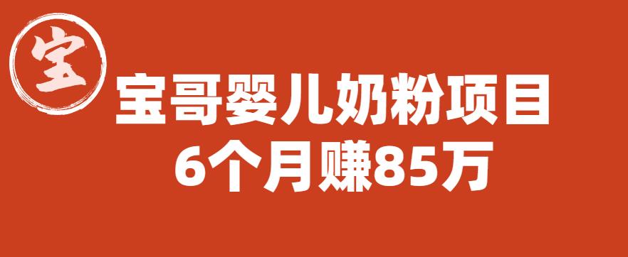 宝哥婴儿奶粉项目，6个月赚85w【图文非视频】【揭秘】-温暖资源库