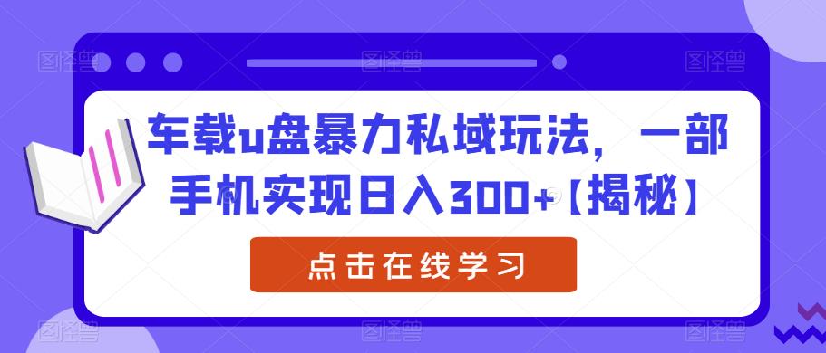 车载u盘暴力私域玩法，一部手机实现日入300+【揭秘】-温暖资源库