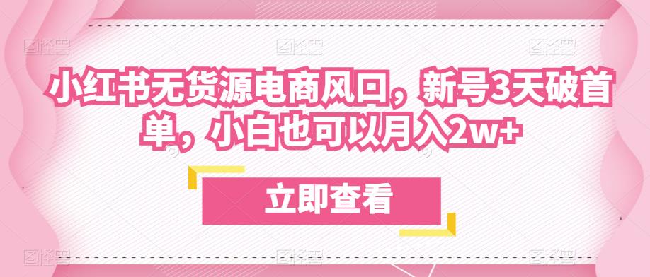 众狼电商余文小红书无货源电商风口，新号3天破首单，小白也可以月入2w+-温暖资源库