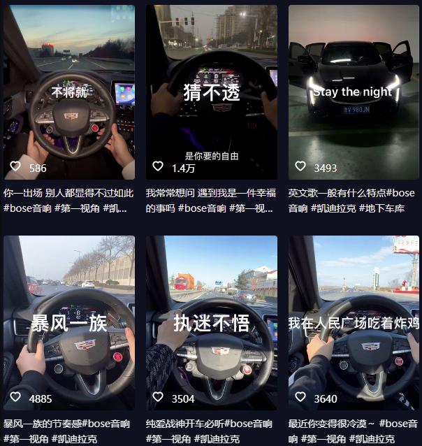 抖音开车视频项目，0基础操作，每天五分钟，月入1W+【揭秘】-温暖资源库