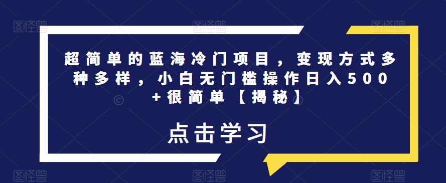 超简单的蓝海冷门项目，变现方式多种多样，小白无门槛操作日入500+很简单【揭秘】-温暖资源库