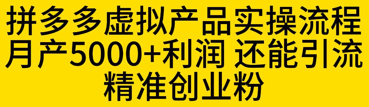 拼多多虚拟产品实操流程，月产5000+利润，还能引流精准创业粉【揭秘】-温暖资源库