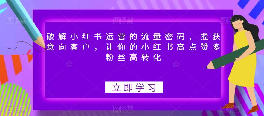 破解小红书运营的流量密码，揽获意向客户，让你的小红书高点赞多粉丝高转化-温暖资源库