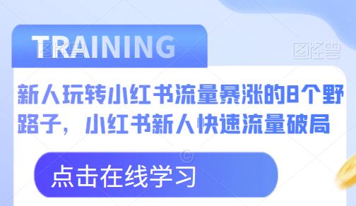 新人玩转小红书流量暴涨的8个野路子，小红书新人快速流量破局-温暖资源库