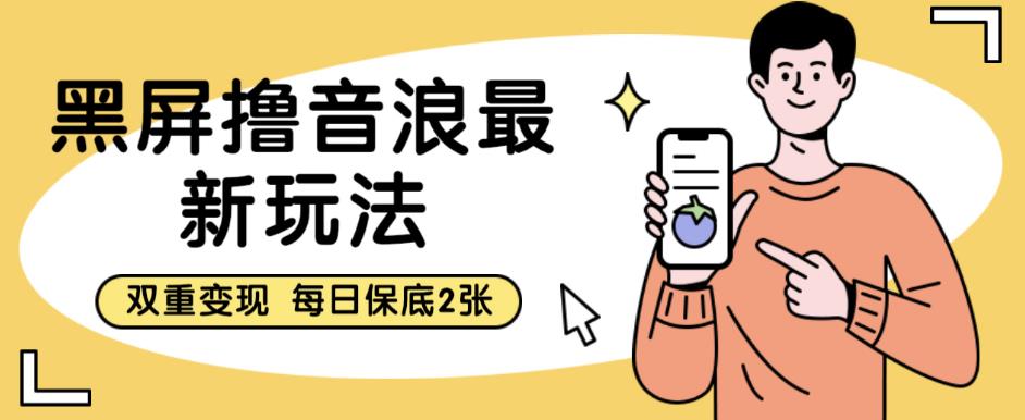 黑屏撸音浪最新玩法，双重变现，每日保底2张【揭秘】-温暖资源库