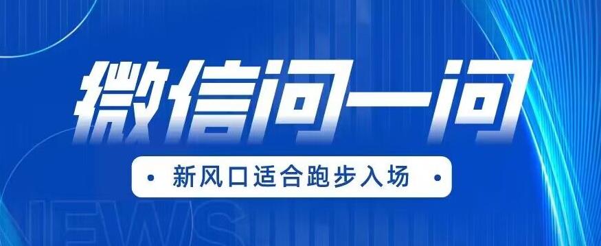 全网首发微信问一问新风口变现项目（价值1999元）【揭秘】-温暖资源库