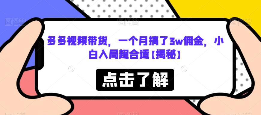 多多视频带货，一个月搞了3w佣金，小白入局超合适【揭秘】-温暖资源库