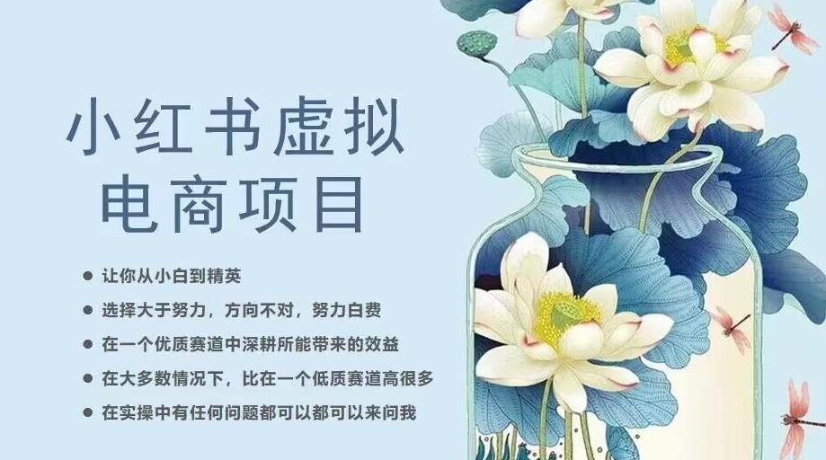小红书虚拟电商从0到1，让你从小白到精英（20节实操课程）-温暖资源库