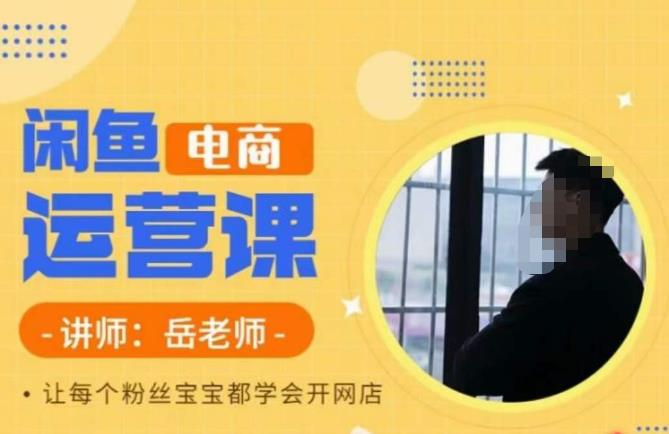 岳老师·闲鱼电商运营课，让每个粉丝宝宝都学会开网店-温暖资源库