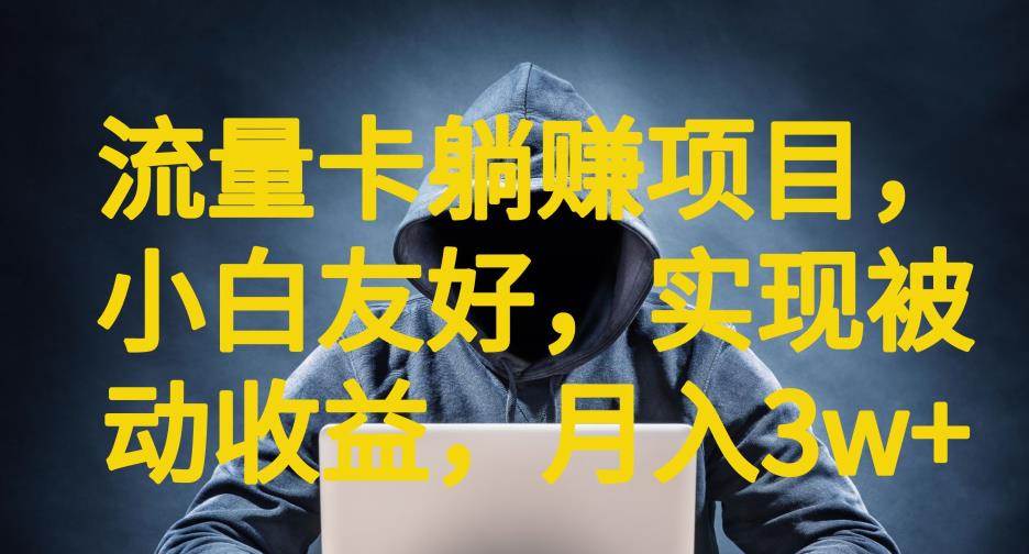 流量卡躺赚项目，小白友好，开设后台，实现被动收益，只要出卡，就能一直赚钱，利润高昂【揭秘】-温暖资源库
