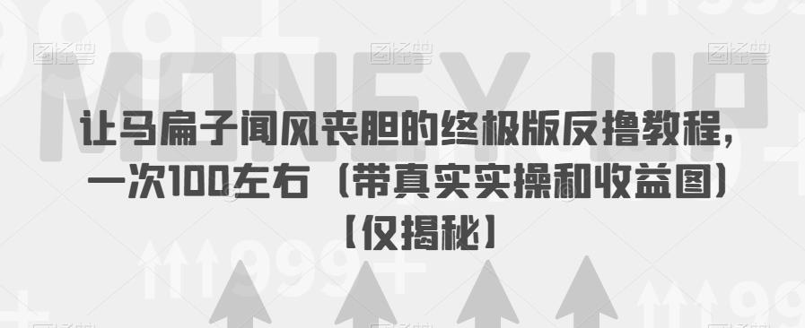 让马扁子闻风丧胆的终极版反撸教程，一次100左右（带真实实操和收益图）【仅揭秘】-温暖资源库