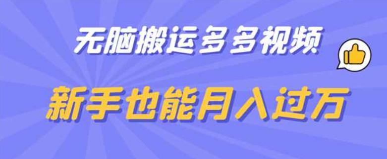 无脑搬运多多视频，新手也能月入过万【揭秘】-温暖资源库