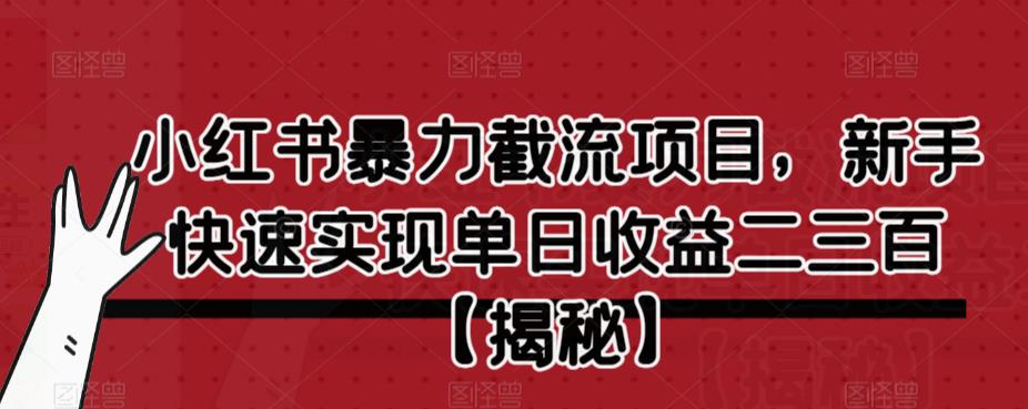 小红书暴力截流项目，新手快速实现单日收益二三百【仅揭秘】-温暖资源库