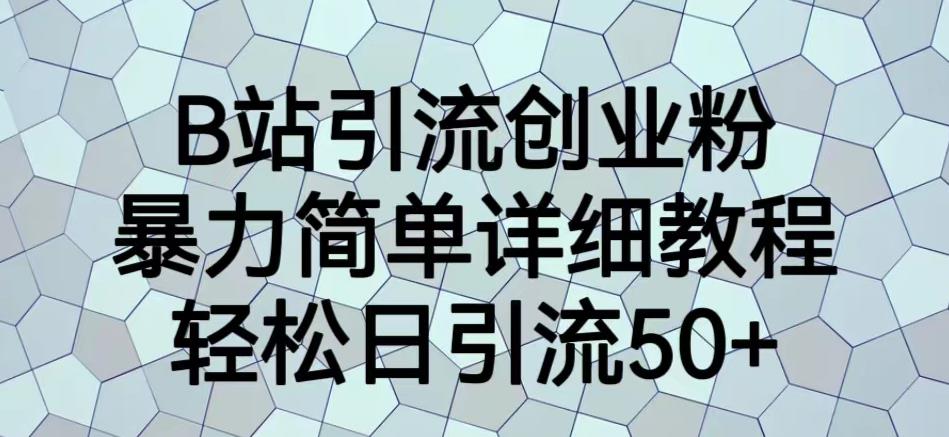 B站引流创业粉，暴力简单详细教程，轻松日引流50+【揭秘】-温暖资源库