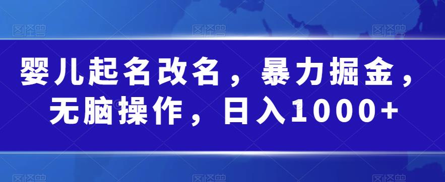 婴儿起名改名，暴力掘金，无脑操作，日入1000+【揭秘】-温暖资源库