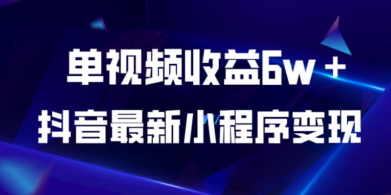 抖音最新小程序变现项目，单视频收益6w＋，小白可做【揭秘】-温暖资源库