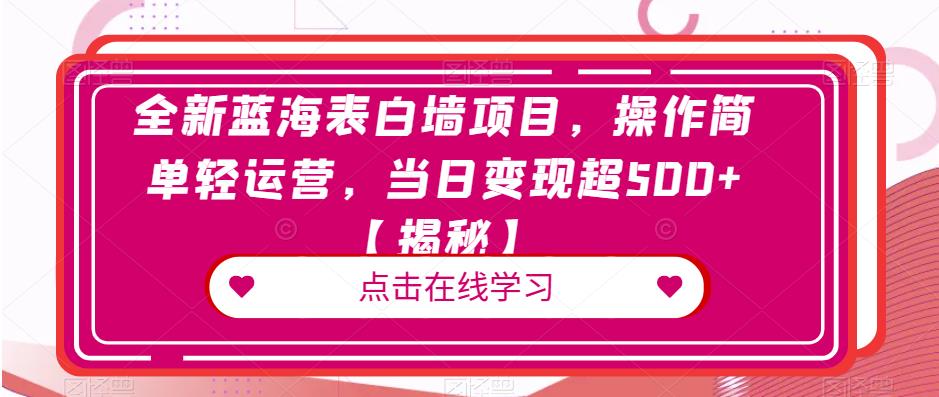 全新蓝海表白墙项目，操作简单轻运营，当日变现超500+【揭秘】-温暖资源库