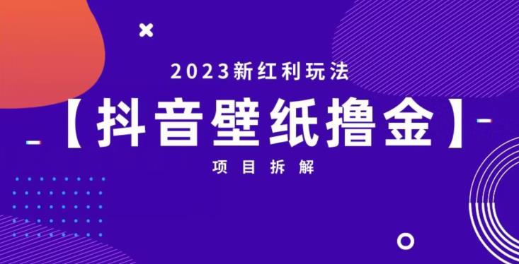 抖音壁纸小程序创作者撸金项目，2023新红利玩法【项目拆解】-温暖资源库