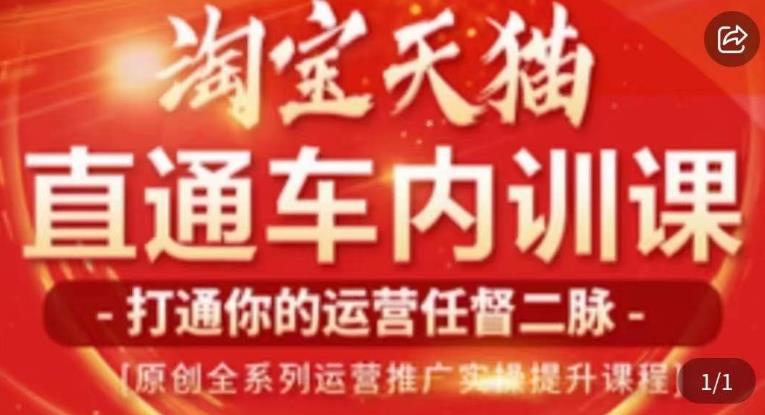 天问电商·2023淘宝天猫直通车内训课，零基础学起直通车运营实操课程-温暖资源库