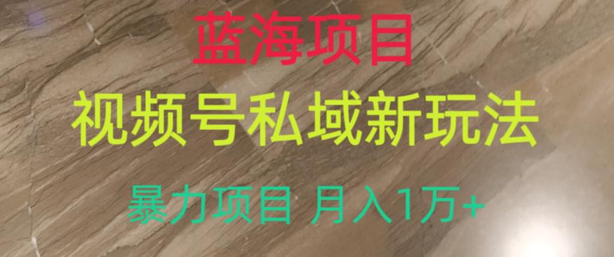 蓝海项目，视频号私域新玩法，暴力项目月入1万+【揭秘】-温暖资源库