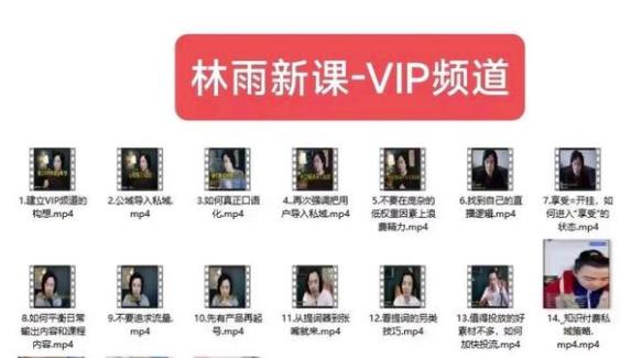 林雨新课VIP频道，玩赚私域/朋友圈/社群-温暖资源库