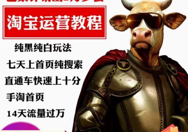 猫老师·淘系算法逆向解密，​纯黑纯白玩法，七天上首页纯搜索，手淘首页14天流量过万-温暖资源库