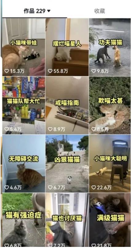 拆解：抖音盘点类中视频变现副业项目，视频版一条龙大解析分享给你-温暖资源库