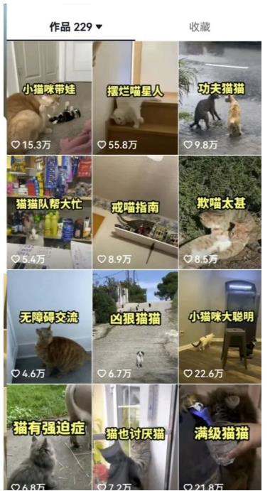 拆解抖音盘点类中视频变现副业项目，视频版一条龙大解析分享给你【视频课程】-温暖资源库