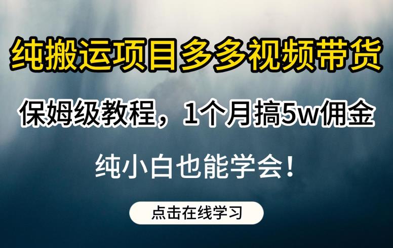 纯搬运项目多多视频带货保姆级教程，1个月搞5w佣金，纯小白也能学会【揭秘】-温暖资源库