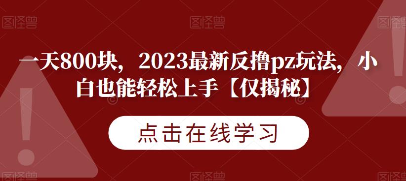 一天800块，2023最新反撸pz玩法，小白也能轻松上手【仅揭秘】-温暖资源库