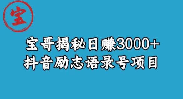 宝哥揭秘日赚3000+抖音励志语录号短视频变现项目-温暖资源库
