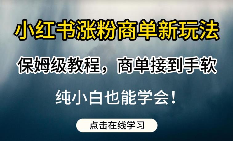 小红书涨粉商单新玩法，保姆级教程，商单接到手软，纯小白也能学会【揭秘】-温暖资源库